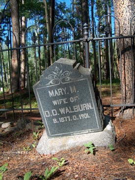 [Whitepine Cemetery]